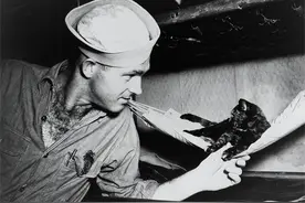 航母存在老鼠，美军养猫都没解决，我军用个“笨方法”搞定图片