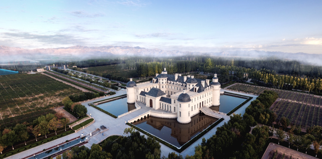 宁夏贺兰山东麓葡萄酒(西域王泉酒庄)