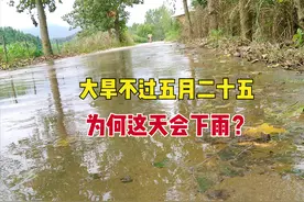 “大旱不过五月二十五”，为啥？五月二十五是什么节日？会下雨吗图片