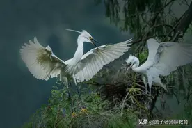 高2022届高考地理适应性练习图片