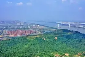 武汉不需要迪士尼，只需把这个事办好了，比什么都强！图片