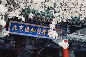 学护理来协和！李莉主任：来自协和护理1996年教育教学改革后培养的第一批学生图片