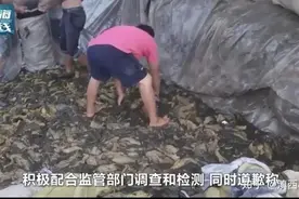 如何看待老坛酸菜有脚臭味？图片