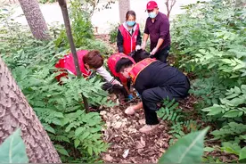 你好，黄河守护人⑥ | 10年接力在黄河岸边捡拾垃圾，8万郑州志愿者“携手共建幸福河”图片