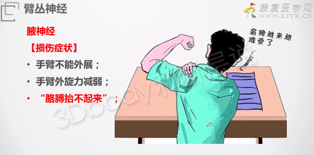 治疗师必备技术——神经损伤手法治疗动作分解