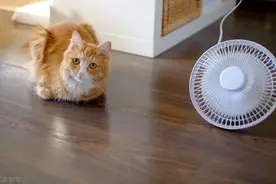 到了夏天吹空调好，还是吹电风扇好？图片