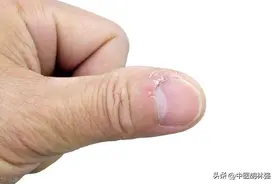 补肾先补肝，效果翻一番，金锁固精丸加一药，肝肾双补，延时助力图片