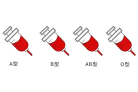 血型不同，大脑衰老速度不同？哪种血型容易得老年痴呆？来看研究图片