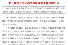 行业观察丨昔日千亿房企蓝光发展行至退市边缘 行业洗牌仍未结束图片