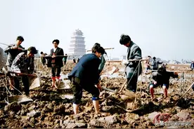 全村人均奔驰到负债打工，“天下第一村”的经历拍成电影没人敢信图片