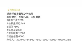 湖南省怀化市教师工资也是一言难尽图片