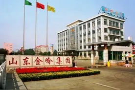 东营巨富赵曰岭竟办砖厂起家，身家488亿，却因环保违规被罚345万图片