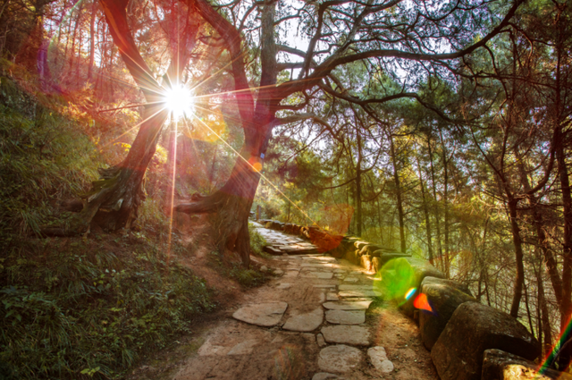 四川省民生研究会新媒体中心-官网