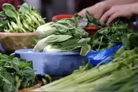 菜价不“菜”：4种蔬菜价格飞起，西红柿高达6元一斤，发生了啥？图片