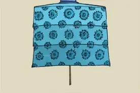 皇帝后面的伞叫什么名字图片