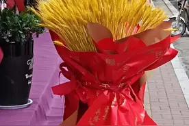 同学之间“红白事”随礼章程图片