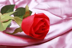 如果你经常有这3种感觉，往往说明有人在暗恋你，别傻了图片