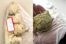 萌萌哒熊猫居然也吃肉，内有实锤图片