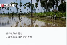 提到香米，为什么总会想到泰国？图片