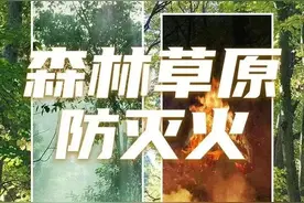 侥幸的代价——四川省森林草原火灾警示教育片图片