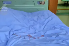 扫了一夜蜘蛛丝！三人同食野生菌宴，只有她一个人中毒了图片