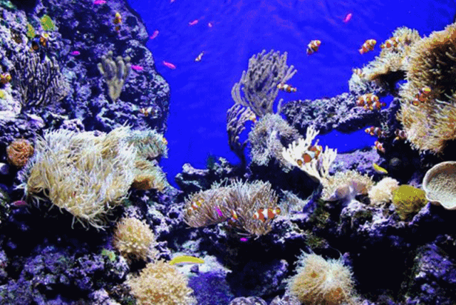 四川省民生研究会新媒体中心-官网