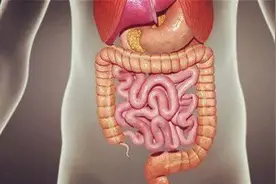 人体最不干净的地方在哪里？难道口腔或许比肠道还脏？图片