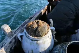 煮过海参的水能不能饮用？怎样才能更好的利用图片