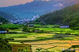 万物生长季，家门口若发现这6种植物，想办法清除，留下或是祸患图片