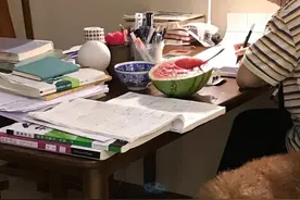 我初级会计真的过了，90，96两科高分通过，复习了二十天成功上岸图片