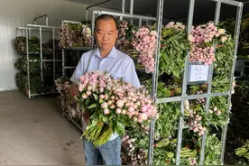 曾被“丢弃”的四川芍药，如何晋身成“网红”？图片