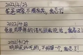 小学生记仇日记意外走红，周围人无一幸免，可算是受了大委屈图片
