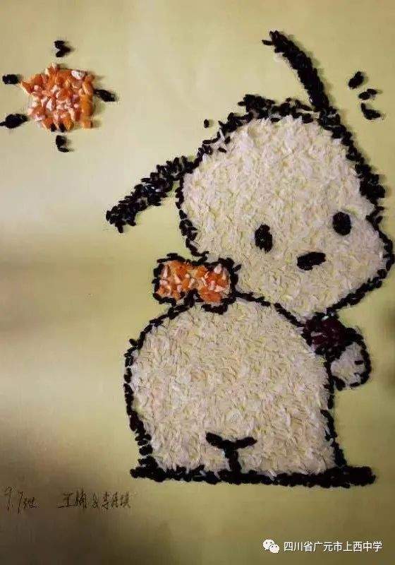 四川省民生研究会新媒体中心-官网