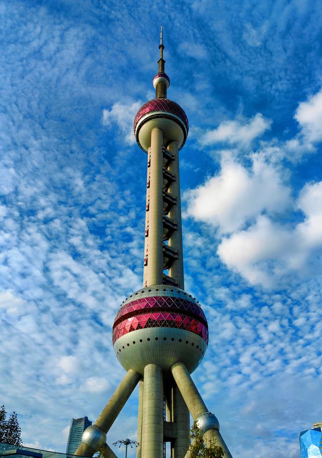 上海海洋水族馆遛娃攻略