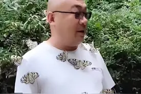 男版含香！山东一景区男子独得蝴蝶偏爱，身上落满蝴蝶赶也赶不走，景区工作人员：可能他身上有酒香或汗味图片