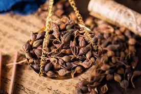 周杰伦的《本草纲目》大家都听过，那么究竟什么是“本草纲目”呢图片