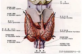 甲亢危象患者的紧急处置图片