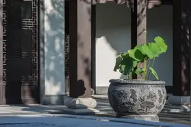 为什么院子里会放水缸，有什么寓意呢？图片