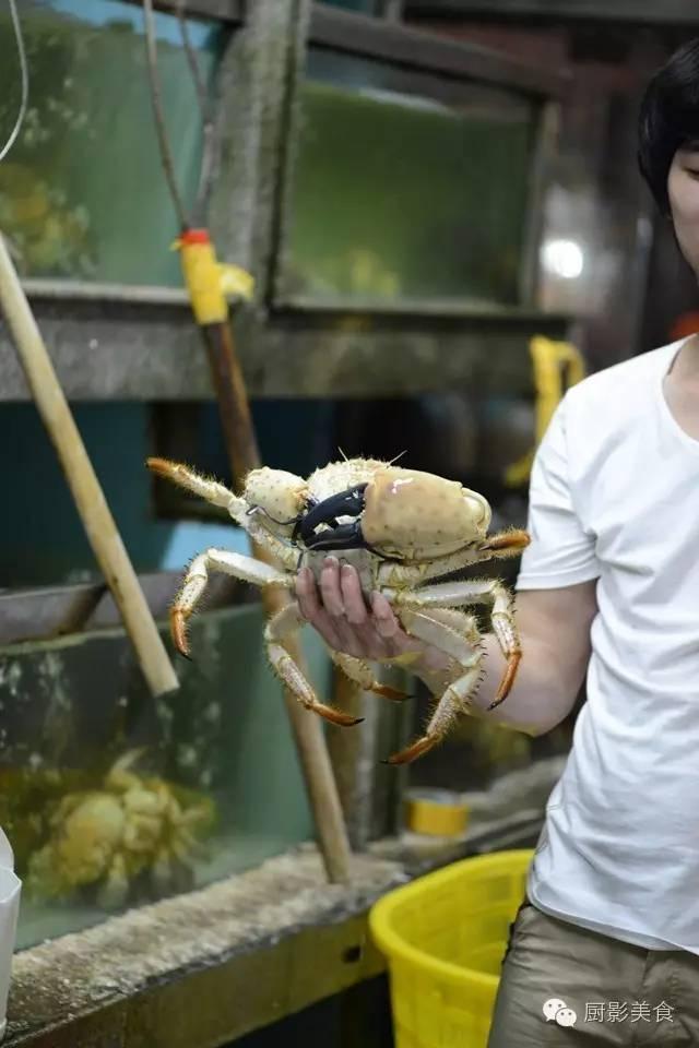 什么海鲜胶原蛋白最多 2025年海鲜含有胶原蛋白吗