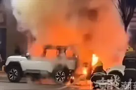 40万新车被孩子烧后续！家人没钱赔，警方没立案，车主做法真解气图片