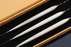 细数野钓出勤率极低的装备，拒绝鸡肋无用之物，让钓鱼能轻装上阵图片