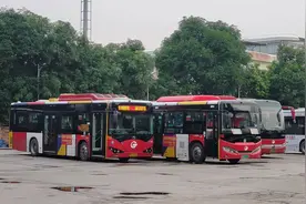 广州花都区公交服务临时调整图片