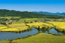 农村土地征收的6项补偿，保障生活水平不降低，少拿一项都亏大了图片