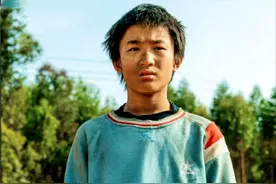 预测票房19.06亿，《八角笼中》彻底火了，我想说这是平民的奇迹图片