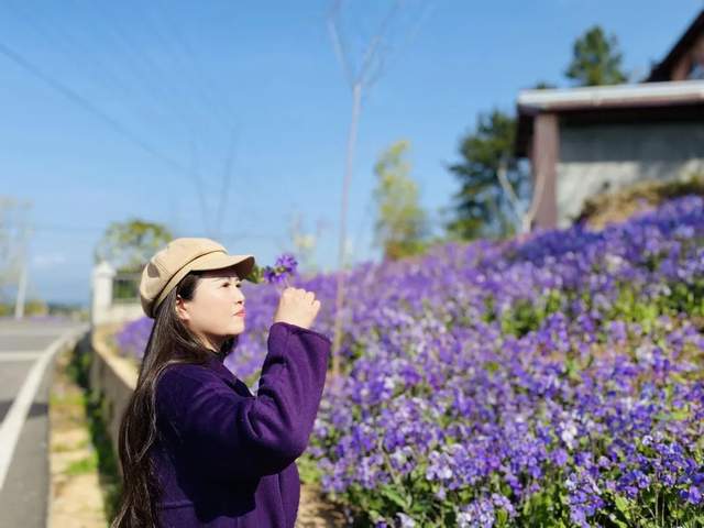 四川省民生研究会新媒体中心-官网