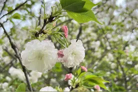 国有行工作1年9个月如何实现第一次升职图片