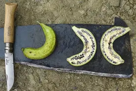 你知道吗？我们吃的香蕉是混血儿，它至少有三个神秘的祖先图片