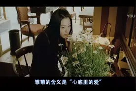 雏菊：我梦寐以求的爱，原来近在咫尺图片