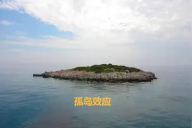 至少要多少人才能延续文明？孤岛效应，可能正在扼杀人类文明图片