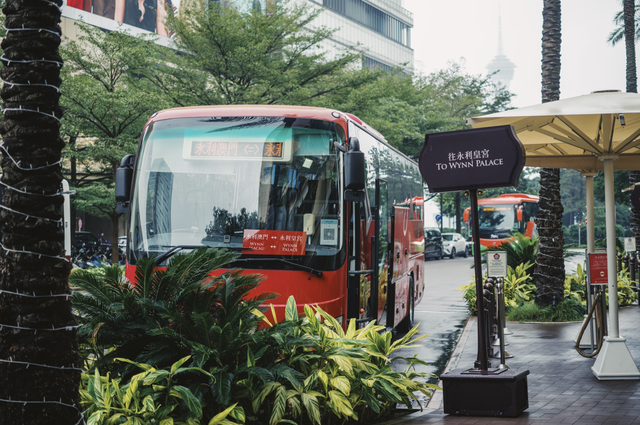 澳门花胶比大陆便宜吗 2026年澳门花胶比大陆便宜吗为什么